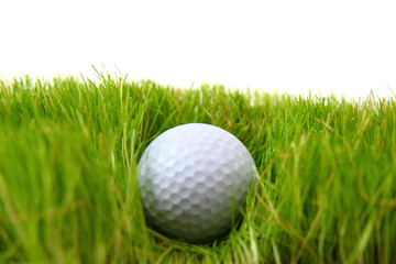 golf ball in the green grass