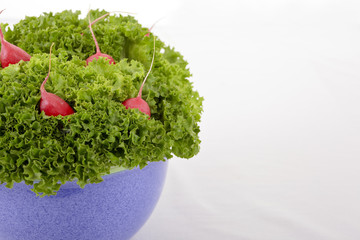 Salat mit Radieschen