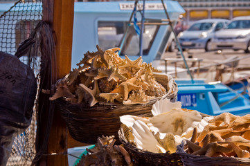 imbarcazione,negozio,esposizione,vendita