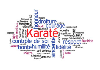 Web Art Design KARATE TAG CLOUD NUAGE ARTS MARTIAUX 30