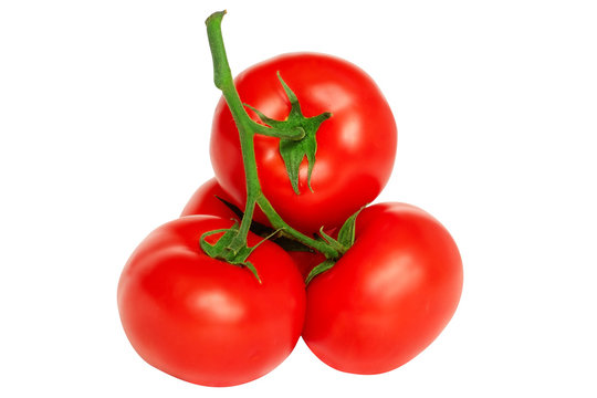 Isolated tomatoes