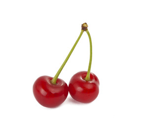cherries isolated
