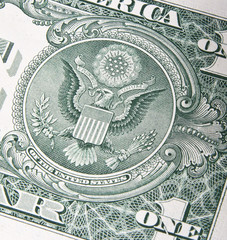 dollar closeup