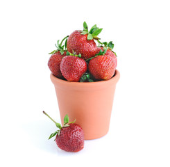 Strawberries in a clay pot