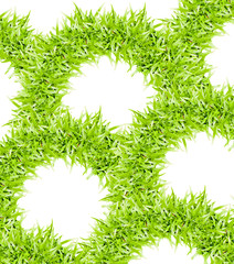 green grass frame isolated on white background