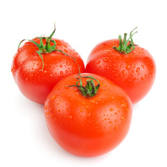 Close-up photo of tomatoes with water drops