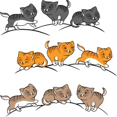 Foto op Plexiglas Verzameling van leuke grappige katten vector set. © incomible