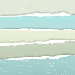 Naklejka premium Torn grunge paper