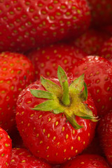 Erdbeeren