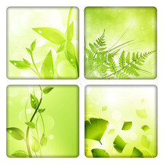Eco background collection