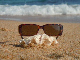 Fototapeta na wymiar sunglasses, seashell and beach.