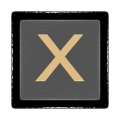 Fototapeta premium X 1.13