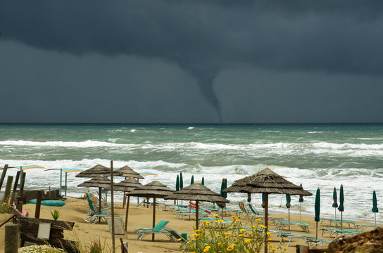 tromba marina