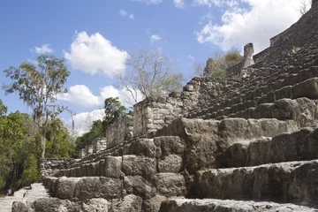 Gordijnen mayan ruins at calakmul, mexico © Dan Talson