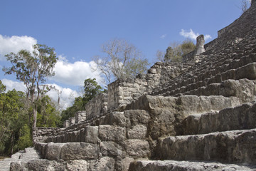 Fototapeta na wymiar Ruiny Majów w Calakmul, Meksyk