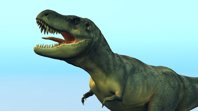 ティラノサウルス Images Browse 443 Stock Photos Vectors And Video Adobe Stock