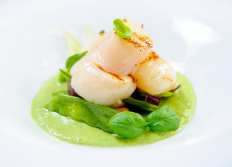 Delicious dish with fish fillet and green curry on a plate