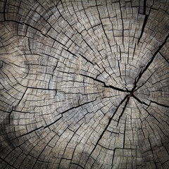 Cracked wood