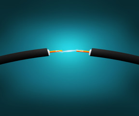 Fototapeta premium Electric Cable Connection