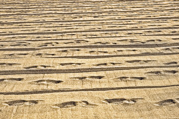 Strand-Muster HDR