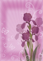 Flower background for greetings card