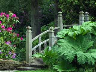 Naklejka premium Bridge