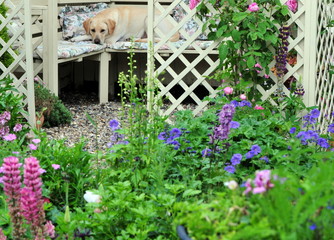pretty garden