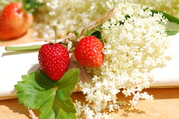 Elderflower herb table decorations