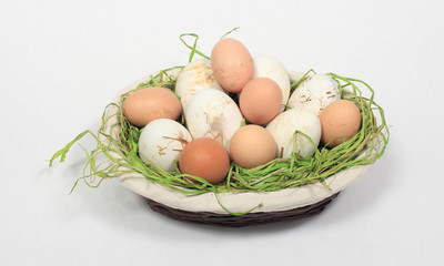 chicken eggs and goose mixed in a basket