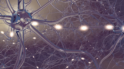 Reizweiterleitung in den Nervenzellen