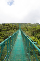Obraz premium Cloud forest in Costa Rica