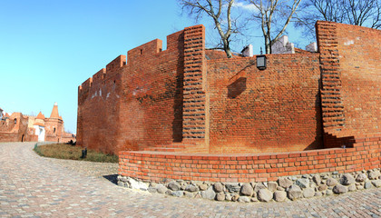 Wall of Warsaw castle panorama background