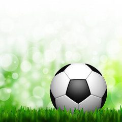 Fototapeta premium 3D Football in green grass and background