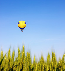 Hot Air Balloon