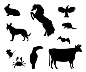 Plaquette d'animaux sauvages
