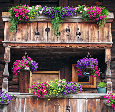 Alpine lifestyle - Landeleben