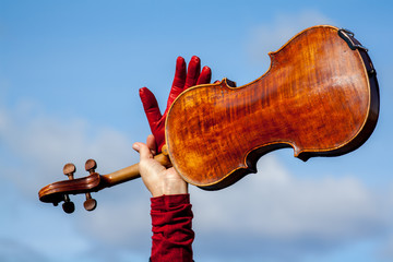 violino
