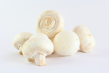 Pilze