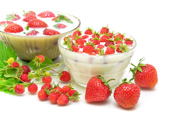 Garden strawberries and wild strawberries on a white background
