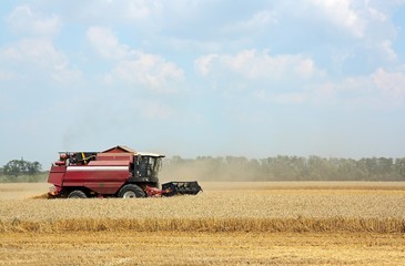 Combine harvester working in a field