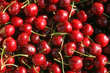 background of red ripe cherries for sale at market