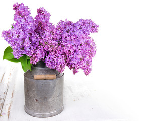 Bouquet of lilacs