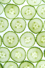 Green cucumber grid