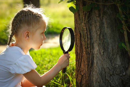 Little girl examining tree stem through the magnifying glass