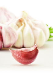Fresh garlic with parsley isolated on white