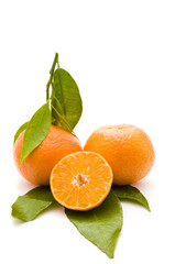 fresh bio tangerine