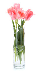 beautiful pink tulips in glass vase isolated on white.
