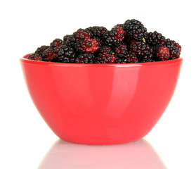Red bowl with ripe mulberries isolated on white close-up