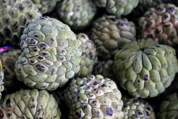 Fototapeta premium Custard apple (Fruta-do-conde)
