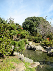 Fototapeta na wymiar Autumn in a Japanese garden